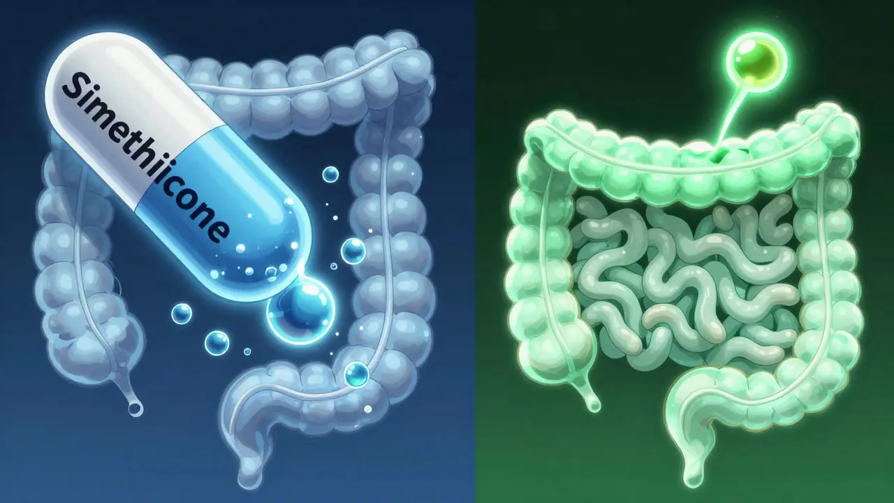 Illustration anime comparant l'action de la siméthicone et des enzymes dans l'intestin